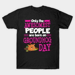 Groundhog Day 2024 Birthday Gag Best Friend Son T-Shirt